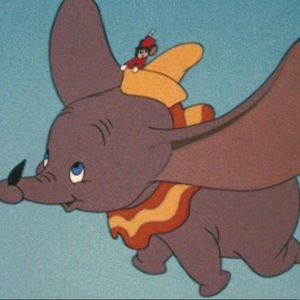 Meet your Posher, Avery